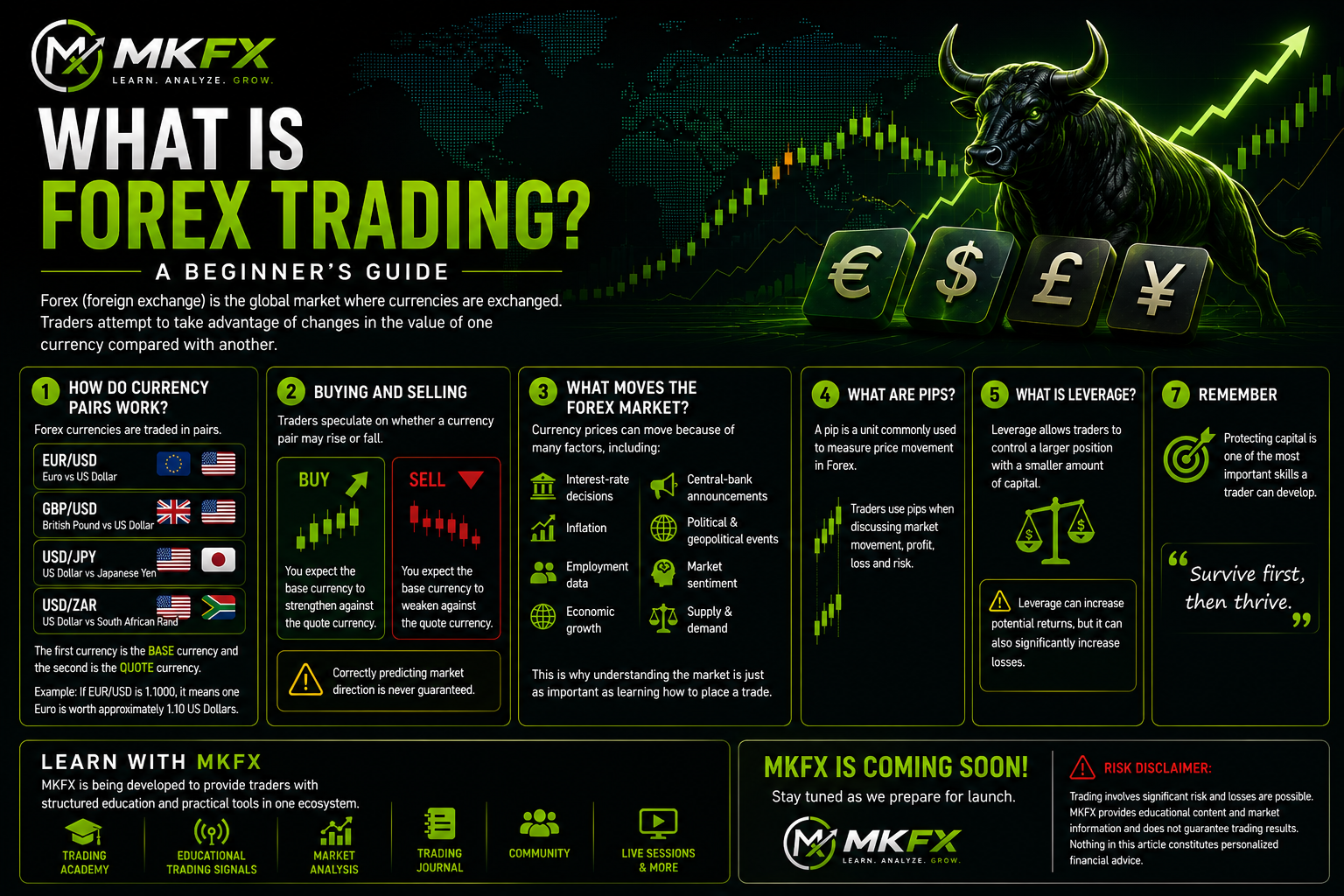 What Is Forex Trading? A Beginner's Guide